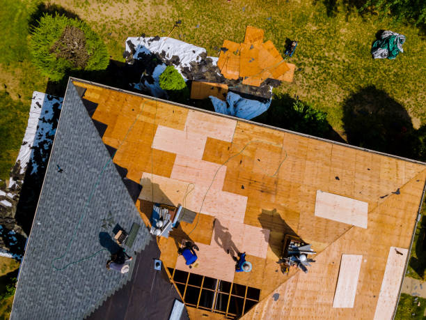 Quick and Trustworthy Emergency Roof Repair Services in Duson, LA